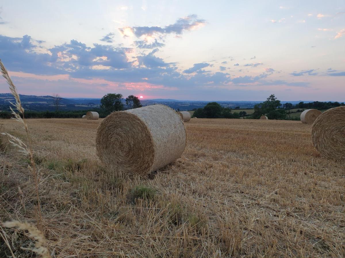 Rouet-Nature.Fr - Chambre D'Hotes Champetre Bed & Breakfast Treban  ภายนอก รูปภาพ